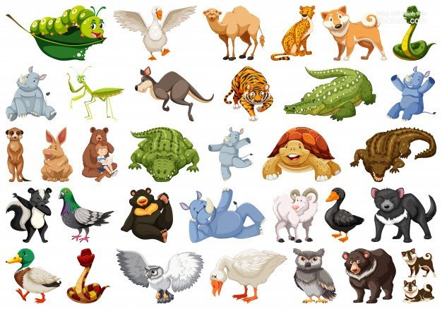 Từ vựng về động vật trong tiếng Hàn giúp bạn hiểu thêm về thế giới muôn thú Từ vựng về động vật trong tiếng Hàn giúp bạn hiểu thêm về thế giới muôn thú