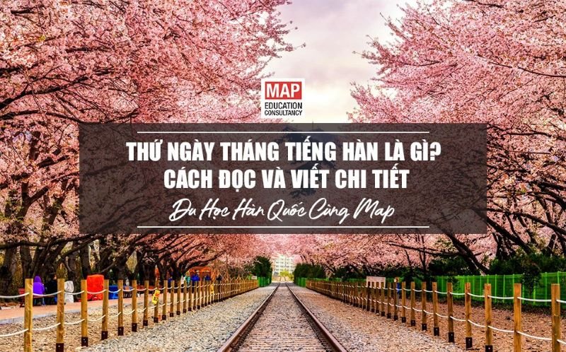 Thứ Ngày Tháng Tiếng Hàn Là Gì? Cách Đọc Và Viết Chi Tiết Thứ Ngày Tháng Tiếng Hàn Là Gì? Cách Đọc Và Viết Chi Tiết