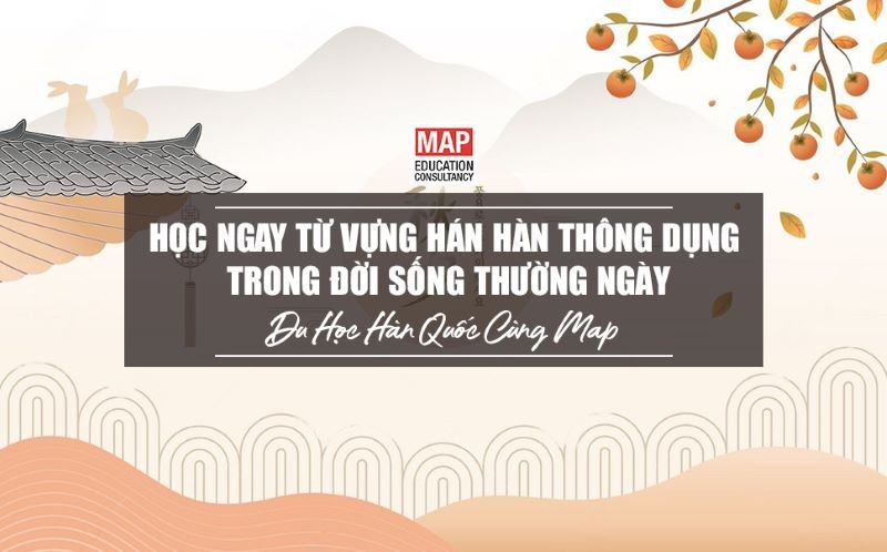 Học Ngay Từ Vựng Hán Hàn Thông Dụng Trong Đời Sống Thường Ngày