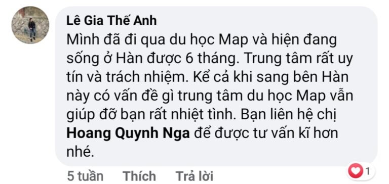 le-gia-the-anh-comment